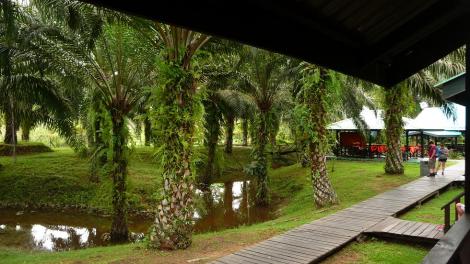 blog le resort à toutous