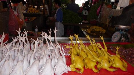 blog benetton du poulet