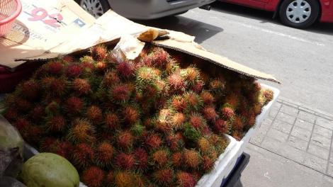 blog testicules de chat