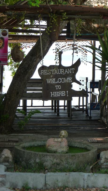 blog welcome to here