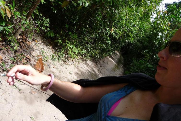 blog Claire papillon