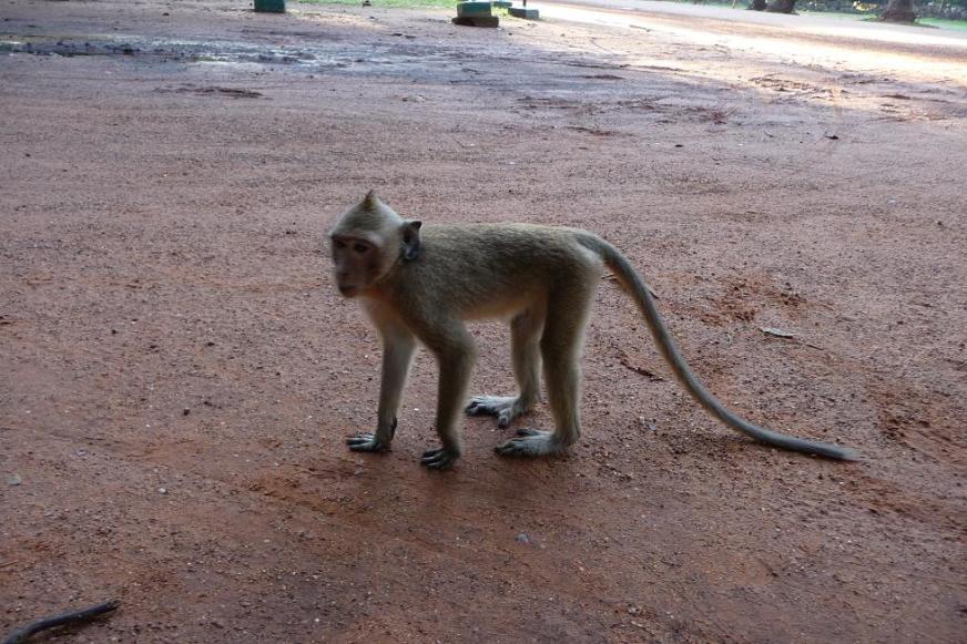 Ceci n'est pas un flic en habits de lumière