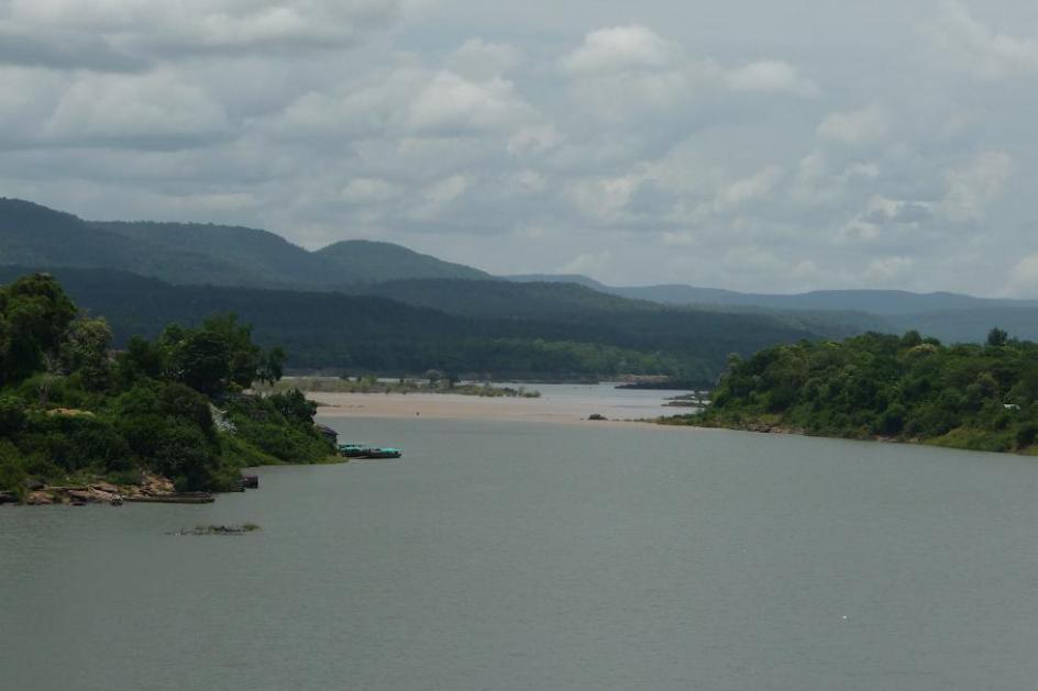 Regardez bien l'union de la force boueuse et de la délicatesse aux nénuphars