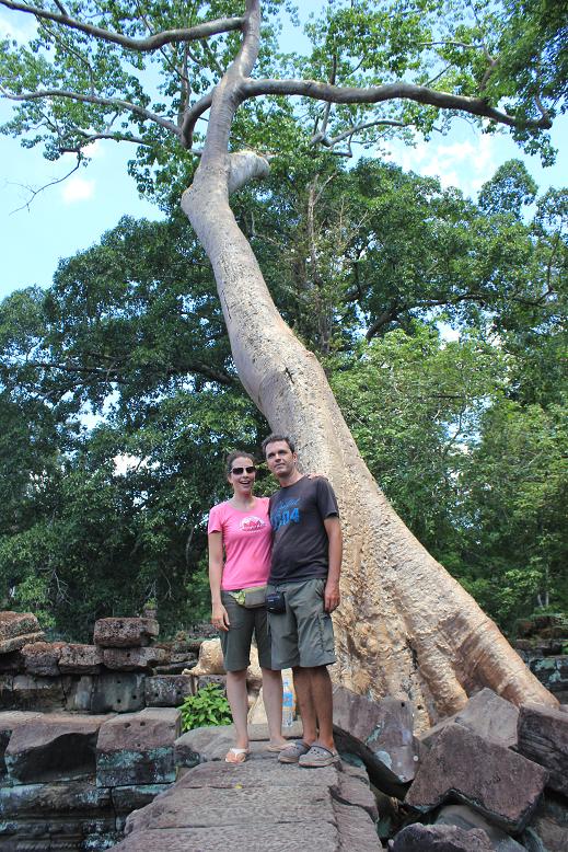 blog preah khan arbre