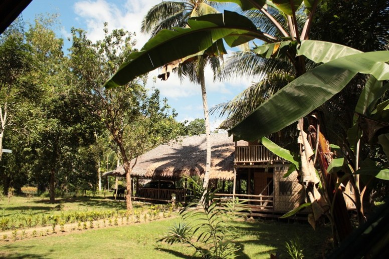 Un bon exemple pour ne pas écouter le Lonely Planet qui ne parlait pas de ces huttes à Loboc (Philippines), et qui devrait, car c'est deux fois moins cher. 500 Pesos, Merci Nipa Hut Village