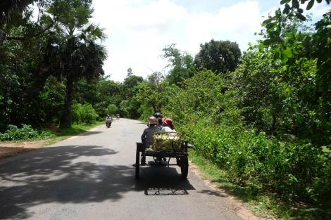 mob et remorque passager