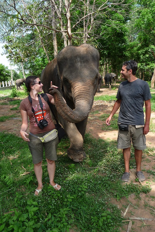 Celui-là a 10 ans, il aime bien faire des blagues avec sa trompe