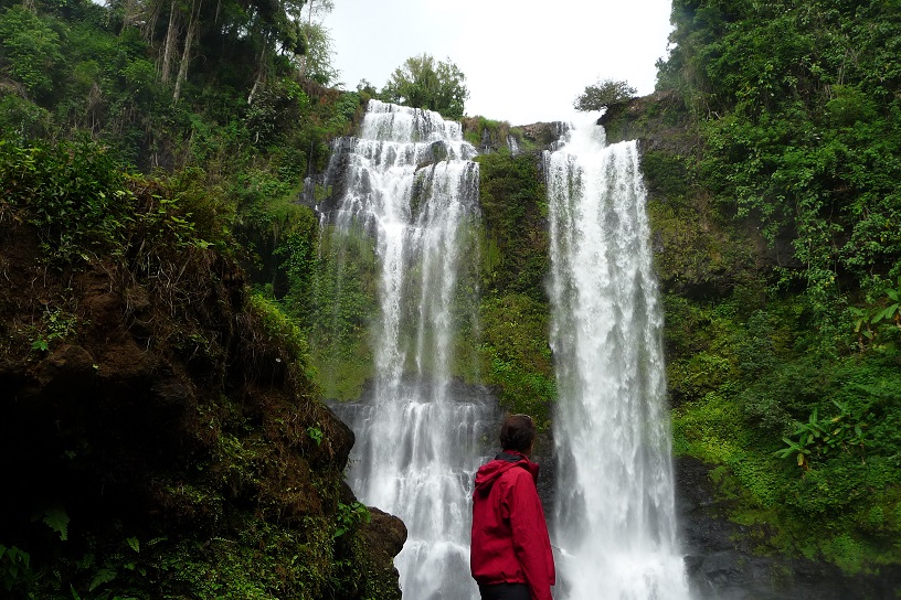 oui, sur terre nous sommes seuls...