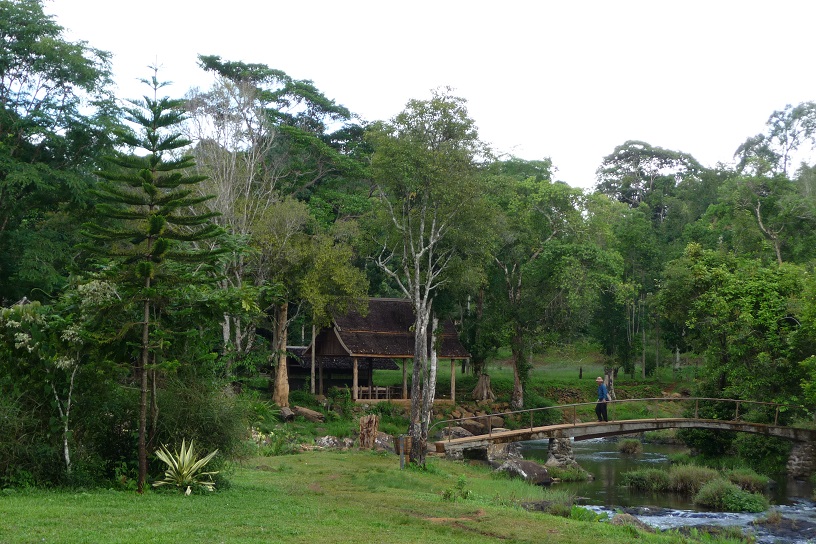 jardin anglais... japonais...