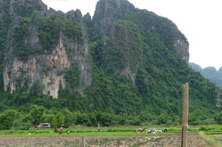 blog blods de grès et rizière