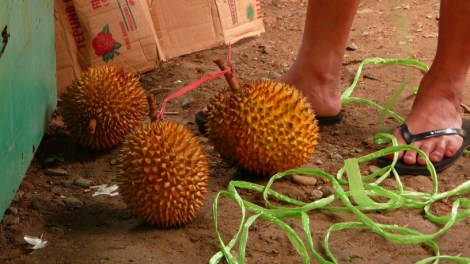 Durian