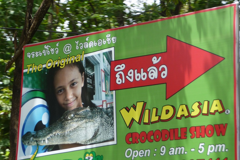 Offre un animal de compagnie original à ta gamine