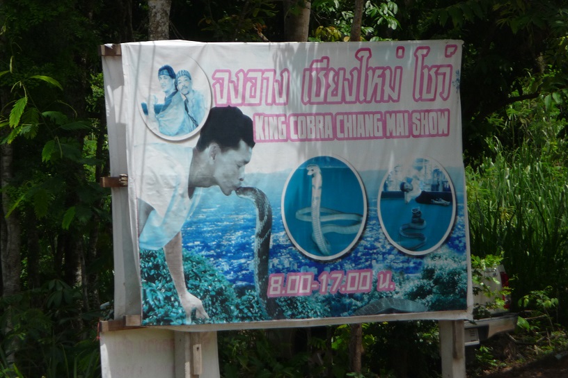 Roule des pelles aux cobras