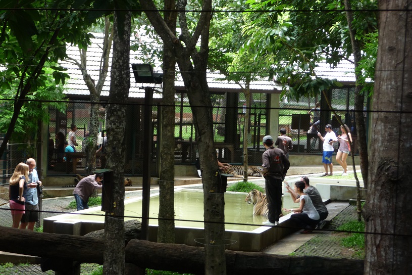 Fais-toi prendre en photo avec un animal en cage