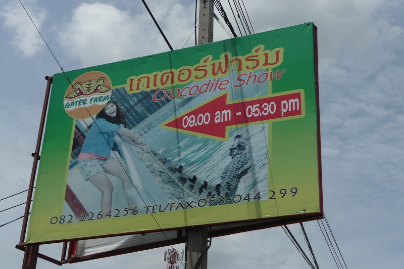 Tire la queue des crocos