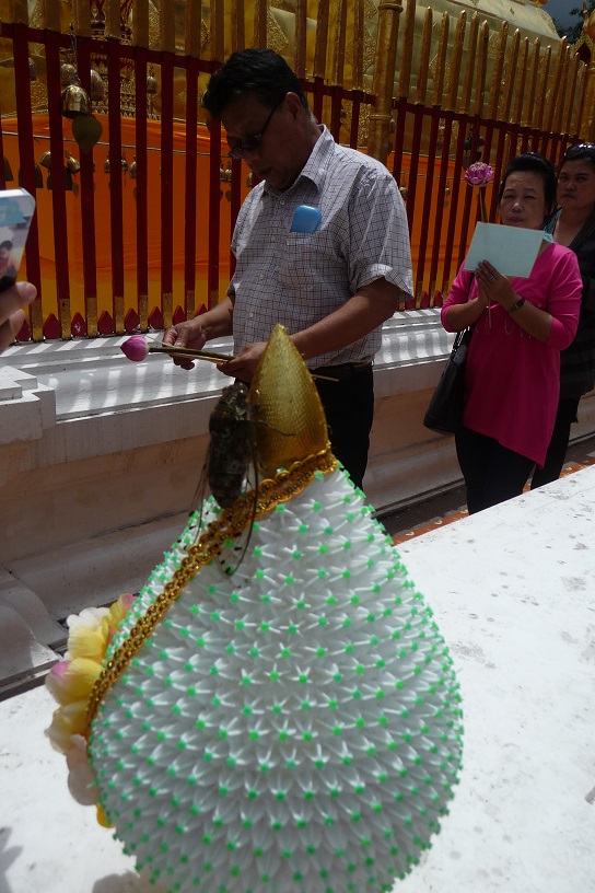 Une cigale fort dépourvue