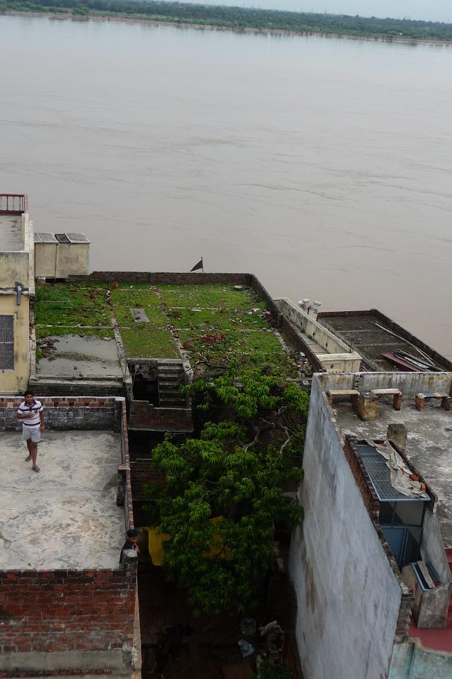 Cherchez les singes, il y en a douze dans cette image (cliquez pour agrandir si besoin)