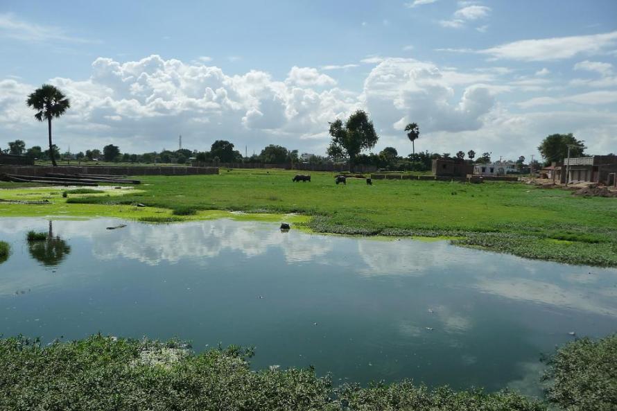 BLOG PAYSAGE TA RACE