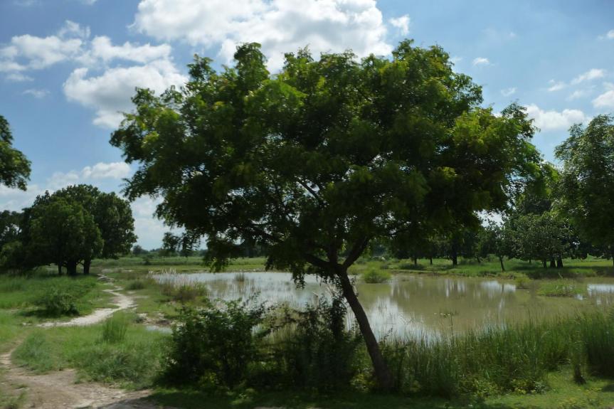 Et là, ça manque un peu.