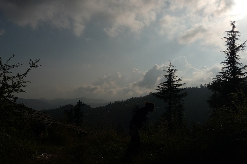 a-la-chasse-aux-herbes-medicinales