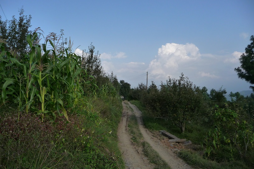 la-campagne-ca-nous-gagne