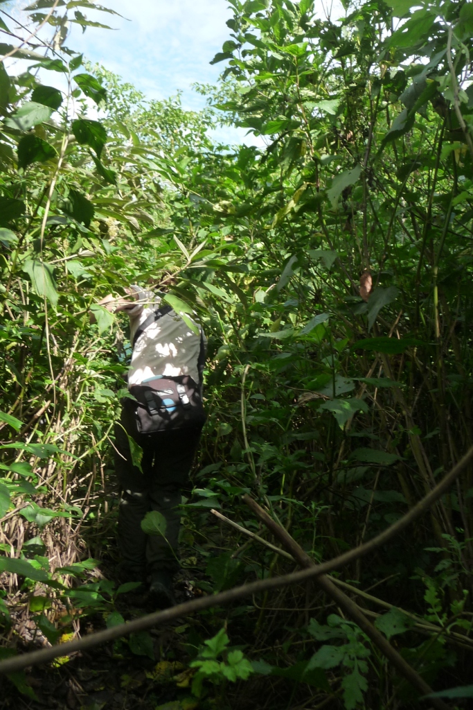 Ca c'est de l'expédition !