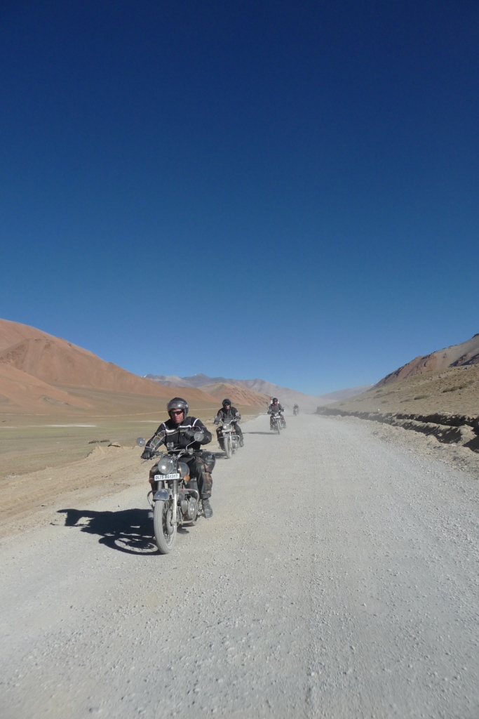 31-le-troupeau-de-hollandais