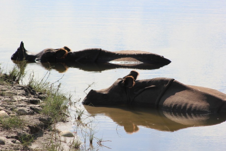 7-maman-et-son-gros-bebe