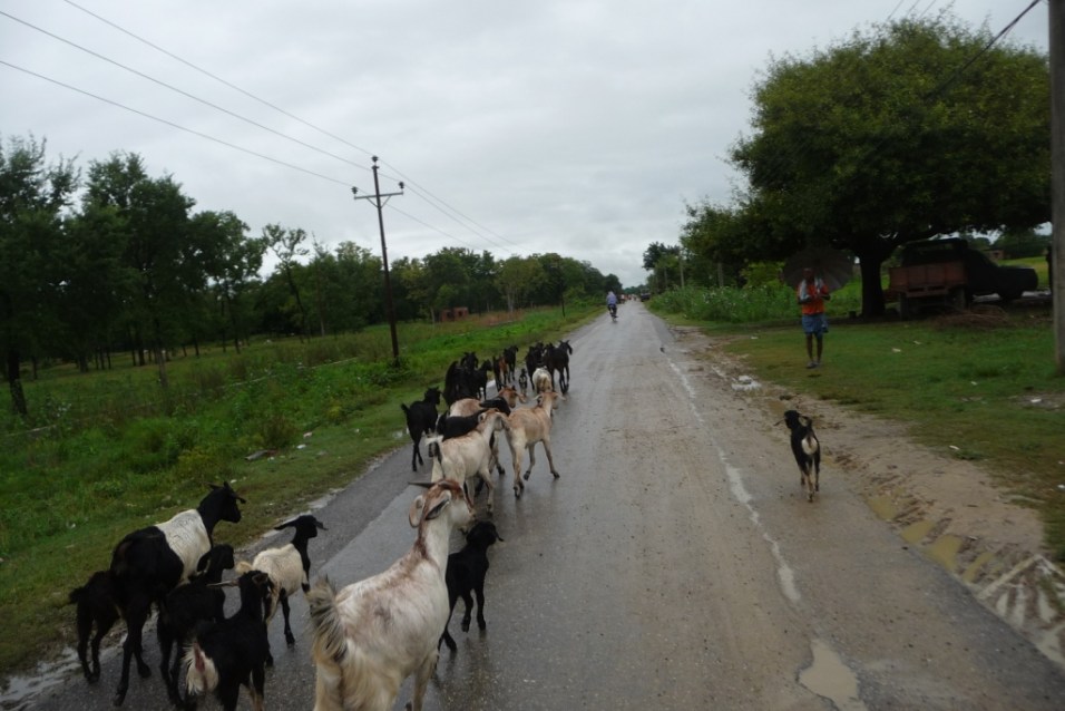 Une photo quand même