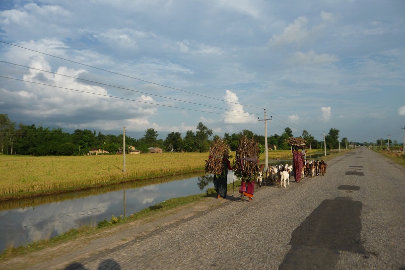 blog-joli-népal-5 (2)