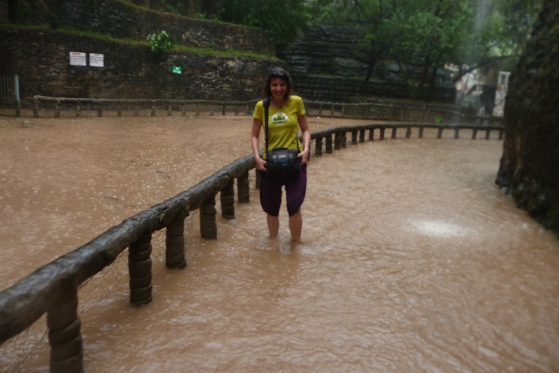 Blog la naufragée aux yeux verts