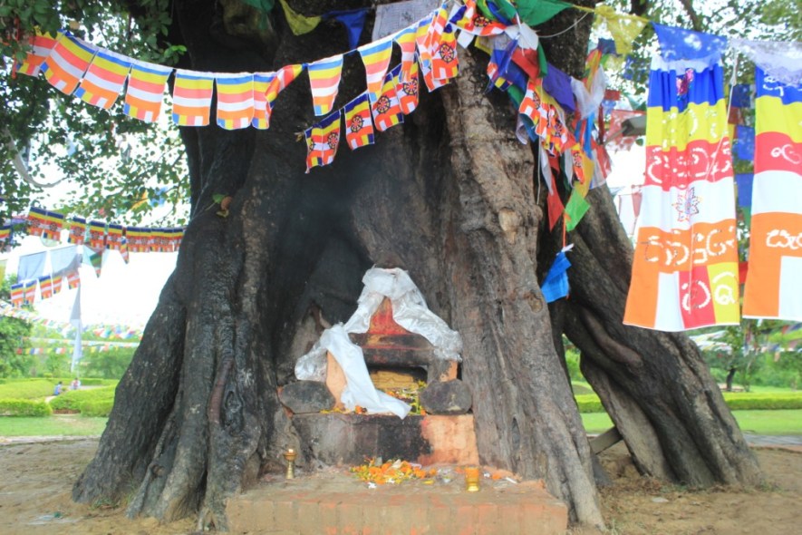 Un endroit que Maya Devi aimait bien