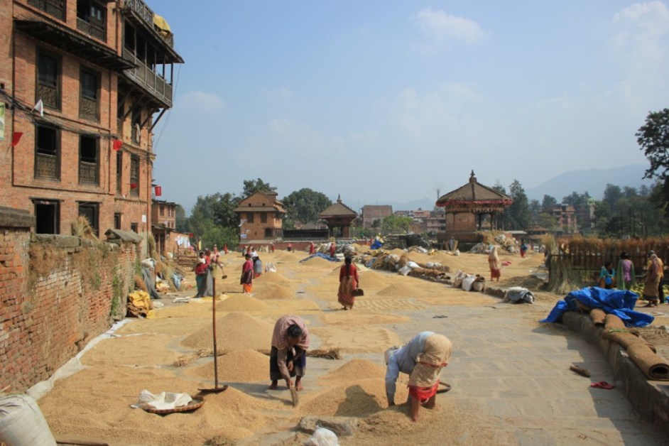 blog-vieilles-qui-secouent-le-riz