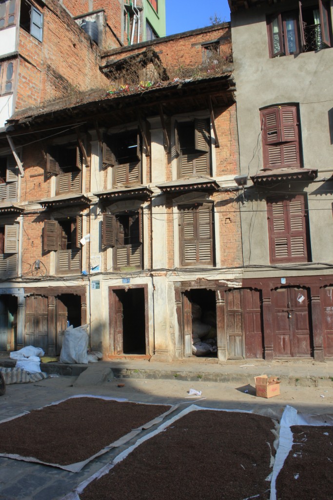 Des lentilles qui sèchent