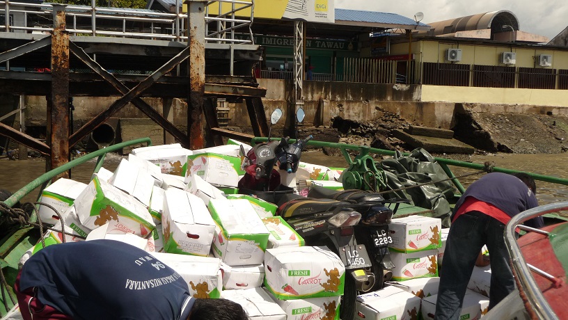 bébés-dans-les-carottes