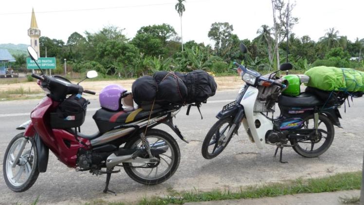 Nos mobs chéries. Elles ne payent pas de mine, mais nous avons parcouru 9500 km avec.