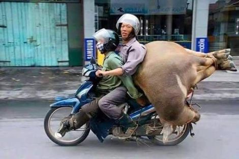 en même temps il y en a qui font plus compliqué!